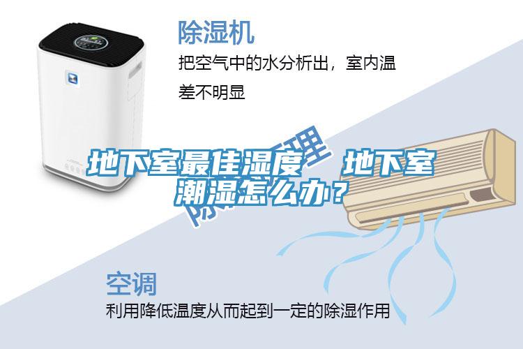 地下室最佳濕度  地下室潮濕怎麽辦？