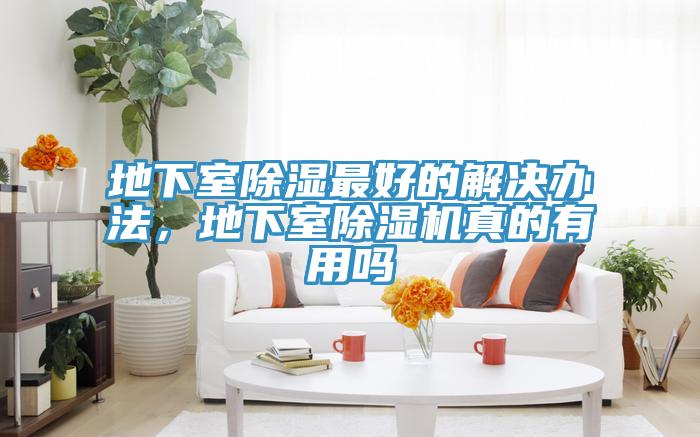 地下室除濕最好的解決辦法，地下室蘑菇视频网站真的有用嗎