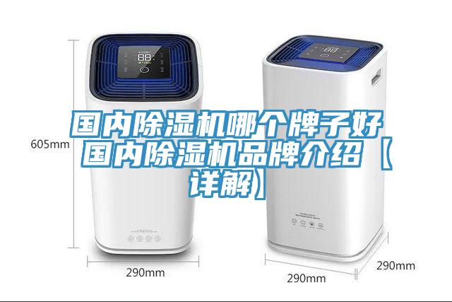 國內蘑菇视频网站哪個牌子好 國內蘑菇视频网站品牌介紹【詳解】