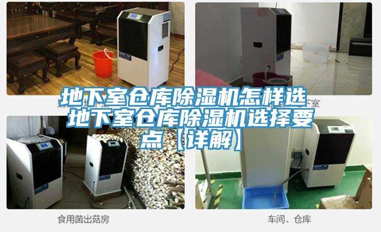 地下室倉庫蘑菇视频网站怎樣選 地下室倉庫蘑菇视频网站選擇要點【詳解】