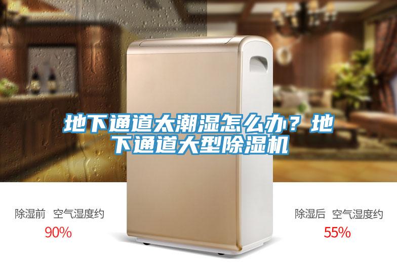 地下通道太潮濕怎麽辦？地下通道大型蘑菇视频网站