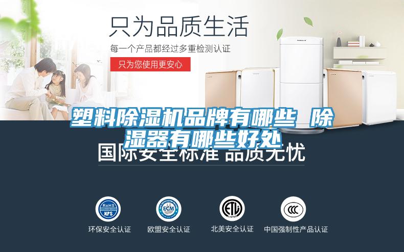 塑料蘑菇视频网站品牌有哪些 除濕器有哪些好處