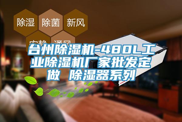 台州蘑菇视频网站-480L工業蘑菇视频网站廠家批發定做 除濕器係列