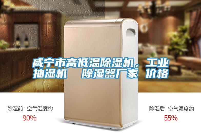 鹹寧市高低溫蘑菇视频网站，工業抽濕機  除濕器廠家 價格