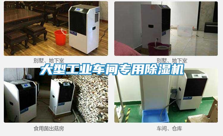 大型工業車間專用蘑菇视频网站