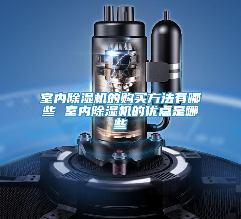 室內蘑菇视频网站的購買方法有哪些 室內蘑菇视频网站的優點是哪些