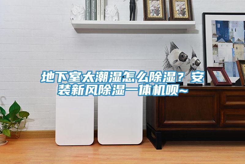 地下室太潮濕怎麽除濕？安裝新風除濕一體機唄~
