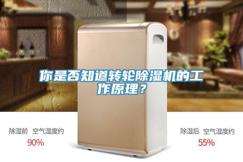 你是否知道轉輪蘑菇视频网站的工作原理？