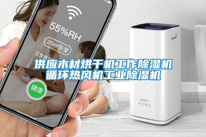 供應木材烘幹機工作蘑菇视频网站循環熱風機工業蘑菇视频网站
