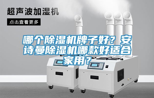 哪個蘑菇视频网站牌子好？蘑菇官方网站下载入口安卓蘑菇视频网站哪款好適合家用？