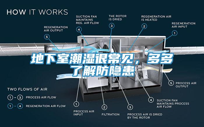 地下室潮濕很常見，多多了解防隱患