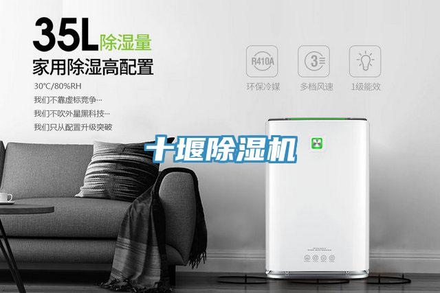十堰蘑菇视频网站