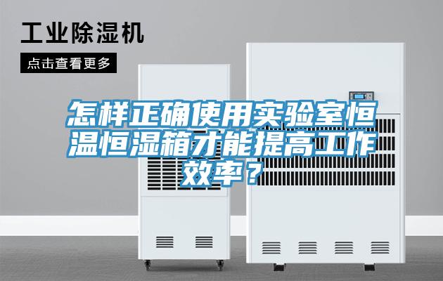 怎樣正確使用實驗室恒溫恒濕箱才能提高工作效率？