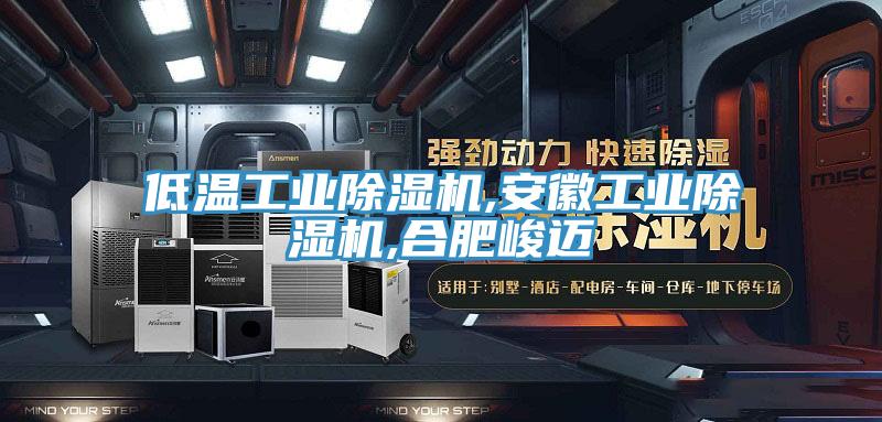 低溫工業蘑菇视频网站,安徽工業蘑菇视频网站,合肥峻邁