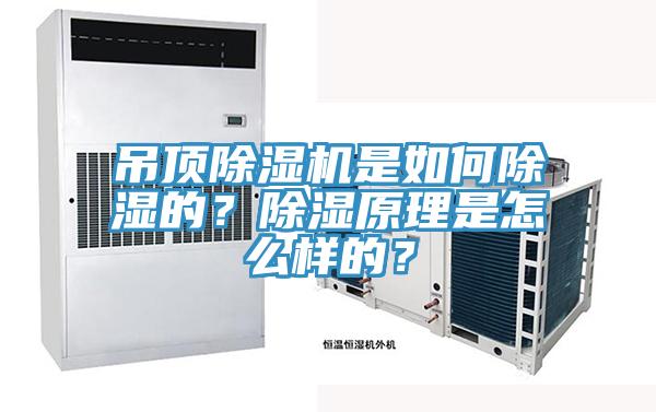 吊頂蘑菇视频网站是如何除濕的？除濕原理是怎麽樣的？