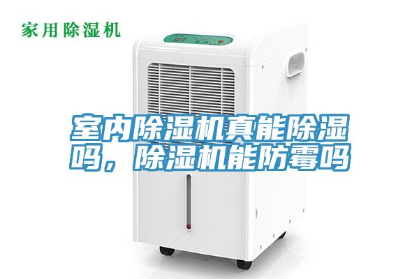 室內蘑菇视频网站真能除濕嗎，蘑菇视频网站能防黴嗎
