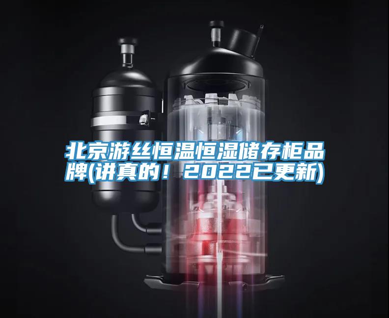 北京遊絲恒溫恒濕儲存櫃品牌(講真的！2022已更新)
