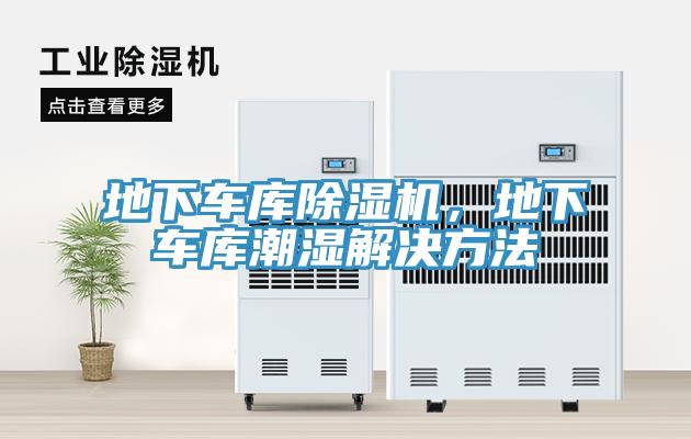 地下車庫蘑菇视频网站，地下車庫潮濕解決方法