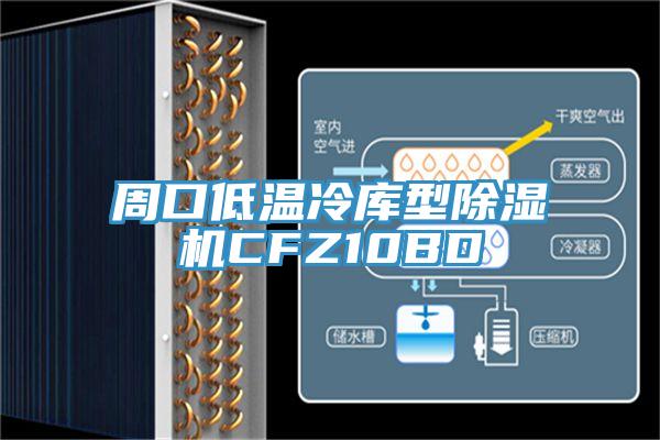周口低溫冷庫型蘑菇视频网站CFZ10BD