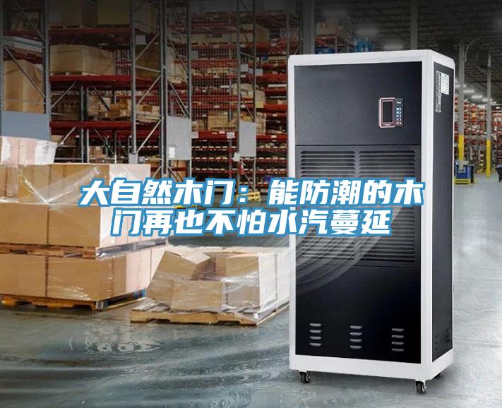 大自然木門：能防潮的木門再也不怕水汽蔓延