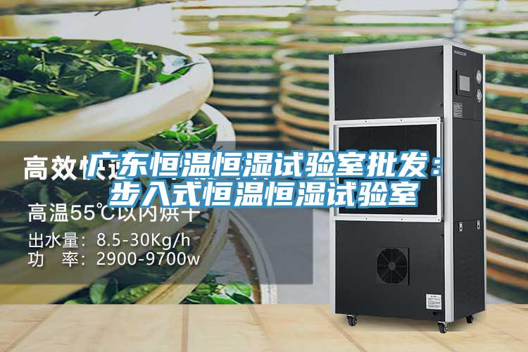 廣東恒溫恒濕試驗室批發：步入式恒溫恒濕試驗室