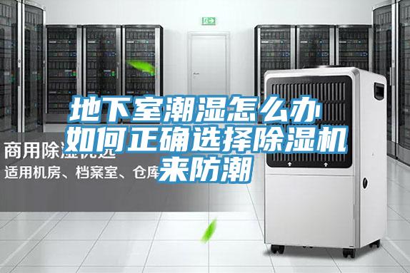 地下室潮濕怎麽辦 如何正確選擇蘑菇视频网站來防潮