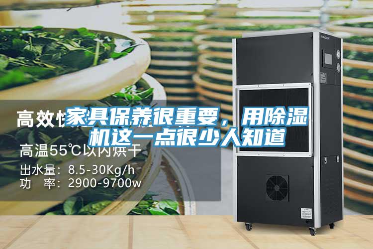 家具保養很重要，用蘑菇视频网站這一點很少人知道