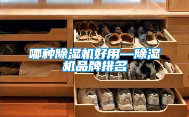 哪種蘑菇视频网站好用—蘑菇视频网站品牌排名