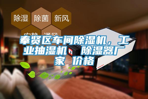 奉賢區車間蘑菇视频网站，工業抽濕機  除濕器廠家 價格