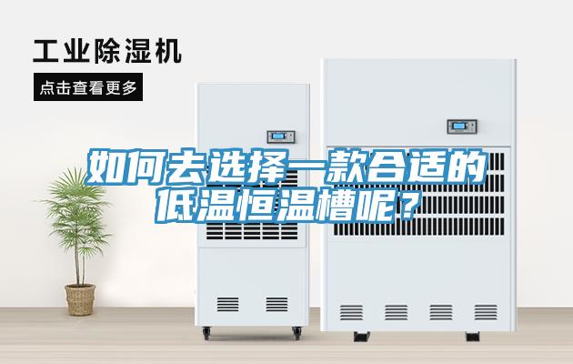 如何去選擇一款合適的低溫恒溫槽呢？