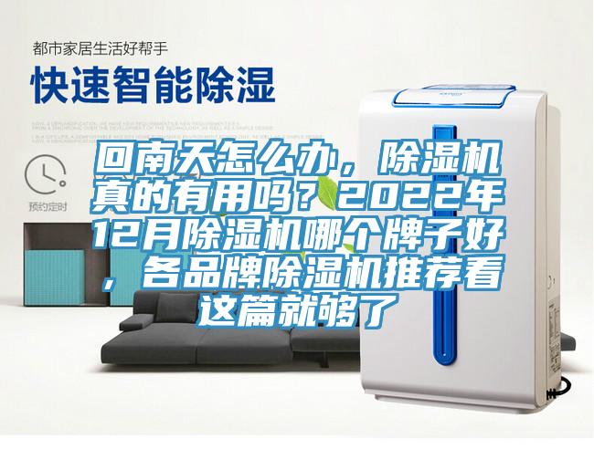 回南天怎麽辦，蘑菇视频网站真的有用嗎？2022年12月蘑菇视频网站哪個牌子好，各品牌蘑菇视频网站推薦看這篇就夠了
