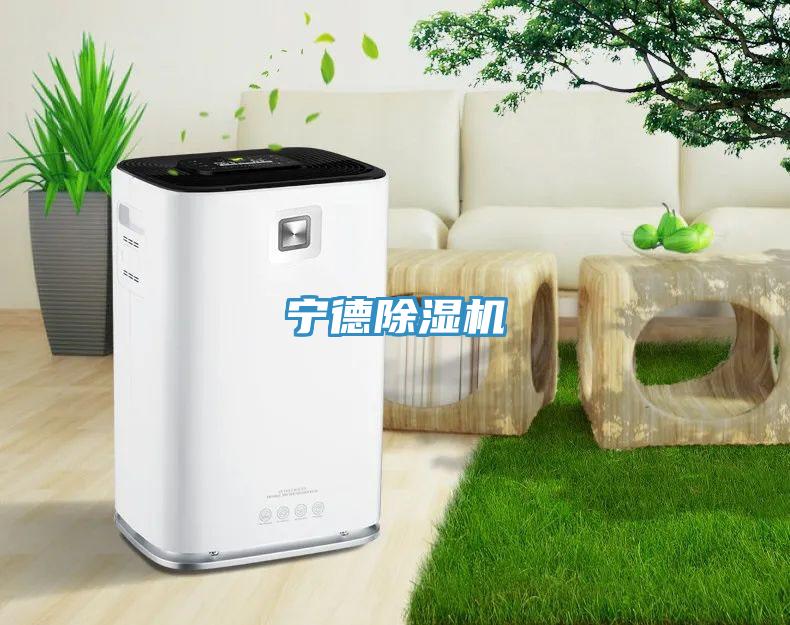 寧德蘑菇视频网站