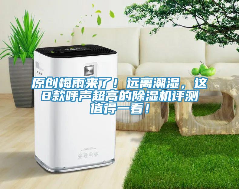 原創梅雨來了！遠離潮濕，這8款呼聲超高的蘑菇视频网站評測值得一看！