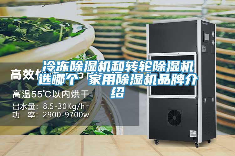 冷凍蘑菇视频网站和轉輪蘑菇视频网站選哪個 家用蘑菇视频网站品牌介紹