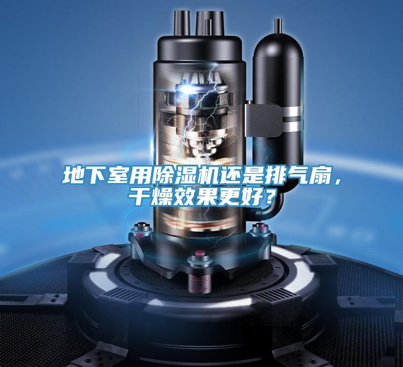 地下室用蘑菇视频网站還是排氣扇，幹燥效果更好？