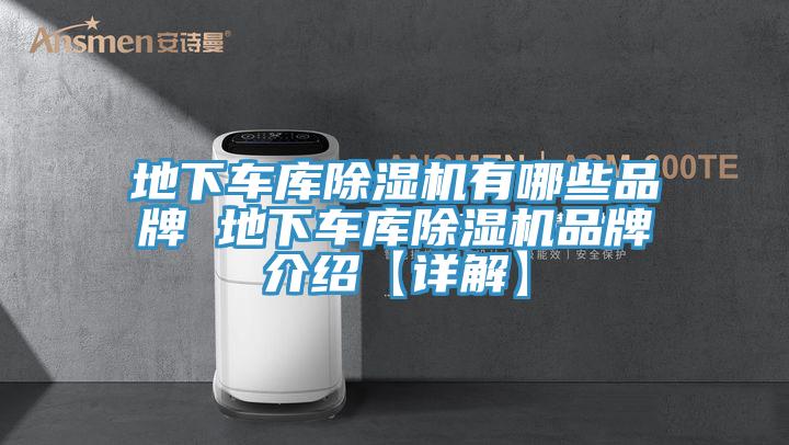 地下車庫蘑菇视频网站有哪些品牌 地下車庫蘑菇视频网站品牌介紹【詳解】