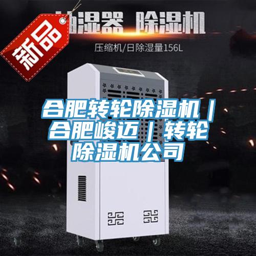 合肥轉輪蘑菇视频网站｜合肥峻邁｜轉輪蘑菇视频网站公司