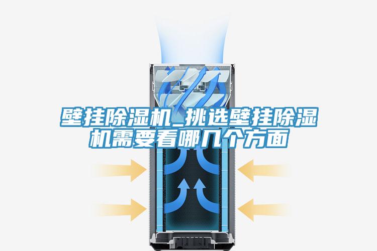 壁掛蘑菇视频网站_挑選壁掛蘑菇视频网站需要看哪幾個方麵