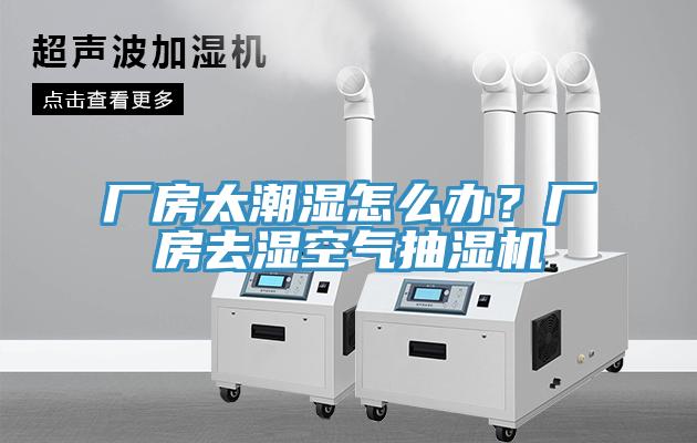 廠房太潮濕怎麽辦？廠房去濕空氣抽濕機