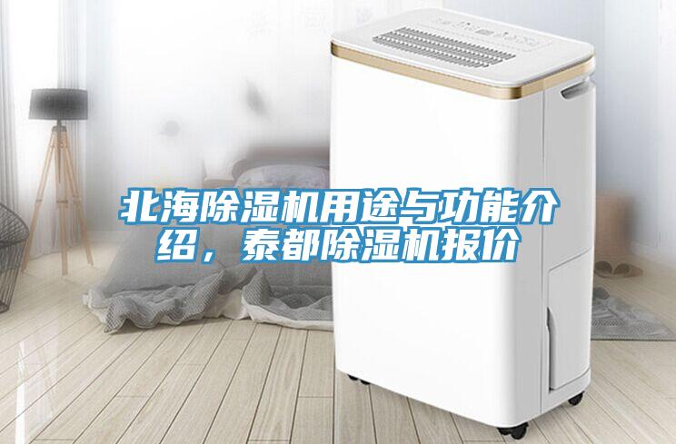 北海蘑菇视频网站用途與功能介紹，泰都蘑菇视频网站報價
