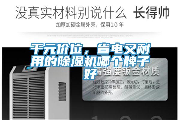 千元價位，省電又耐用的蘑菇视频网站哪個牌子好