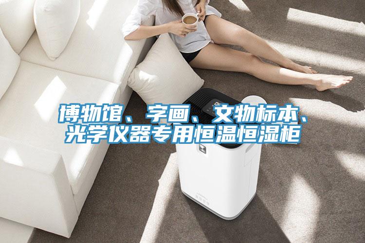 博物館、字畫、文物標本、光學儀器專用恒溫恒濕櫃