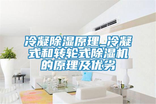 冷凝除濕原理_冷凝式和轉輪式蘑菇视频网站的原理及優劣