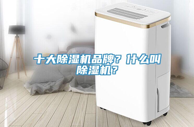 十大蘑菇视频网站品牌？什麽叫蘑菇视频网站？