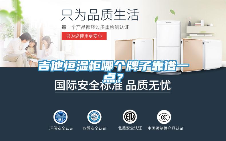 吉他恒濕櫃哪個牌子靠譜一點？