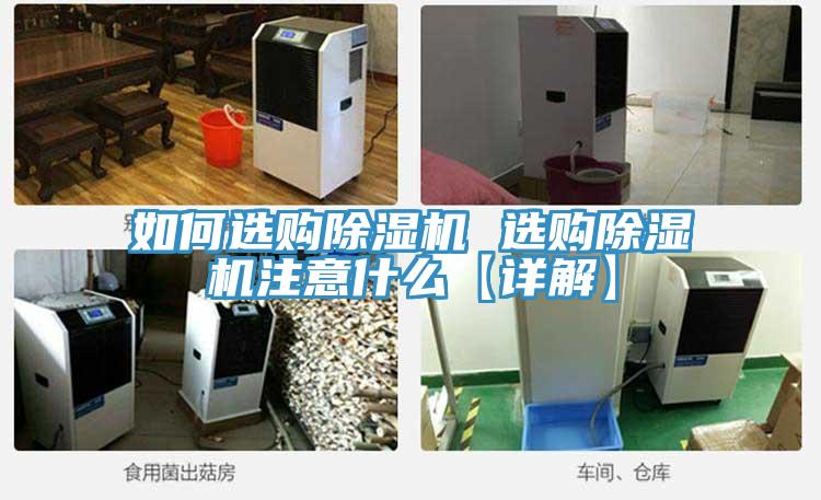 如何選購蘑菇视频网站 選購蘑菇视频网站注意什麽【詳解】