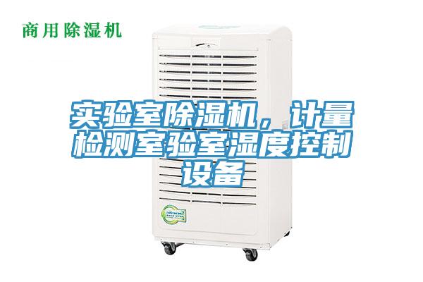 實驗室蘑菇视频网站，計量檢測室驗室濕度控製設備