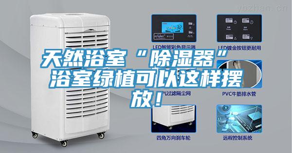 天然浴室“除濕器” 浴室綠植可以這樣擺放！