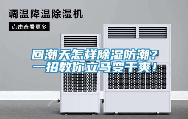 回潮天怎樣除濕防潮？一招教你立馬變幹爽！