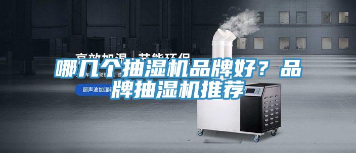 哪幾個抽濕機品牌好？品牌抽濕機推薦